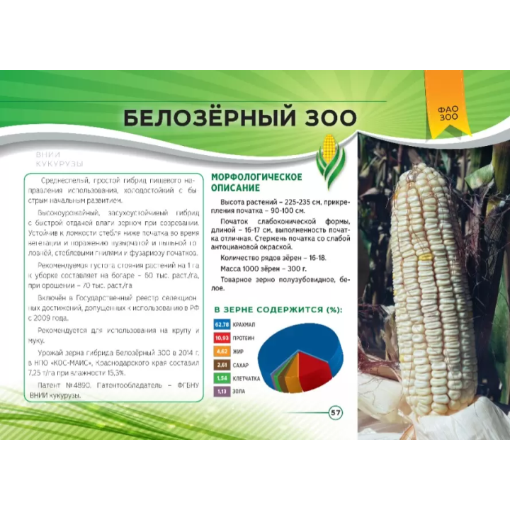 БЕЛОЗЕРНЫЙ 300