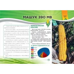 МАШУК 390 МВ