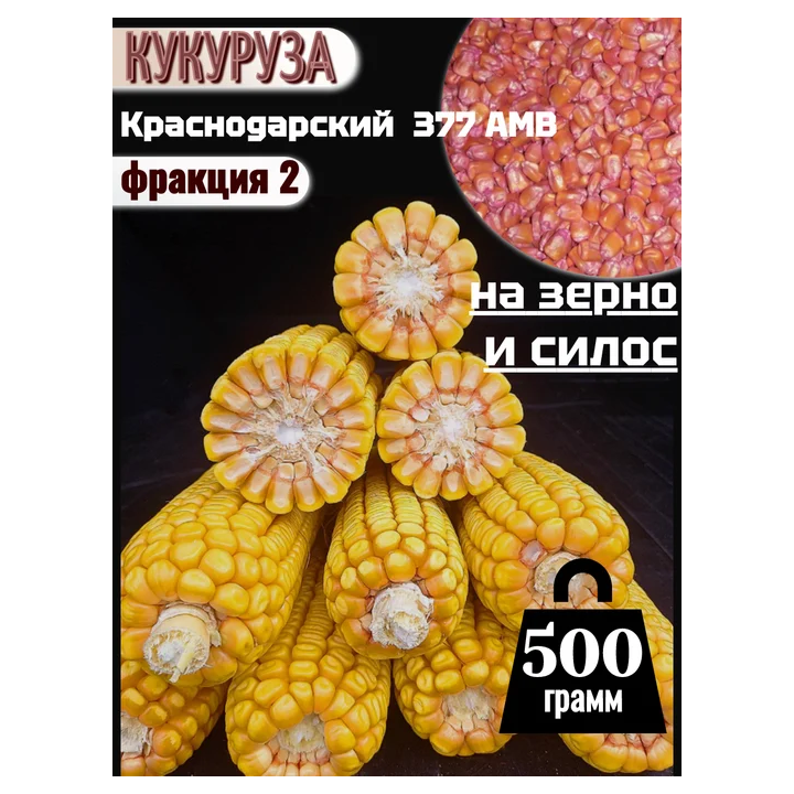 КРАСНОДАРСКИЙ 500 АМВ