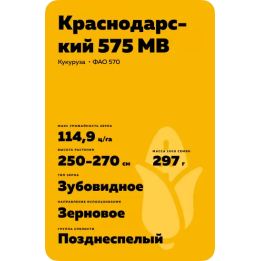 КРАСНОДАРСКИЙ 621 МВ