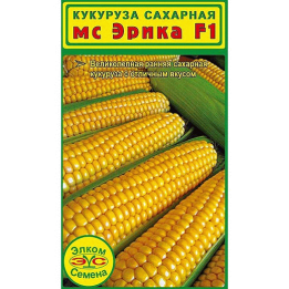 ЭРИК