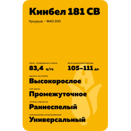 КИНБЕЛ 144 СВ