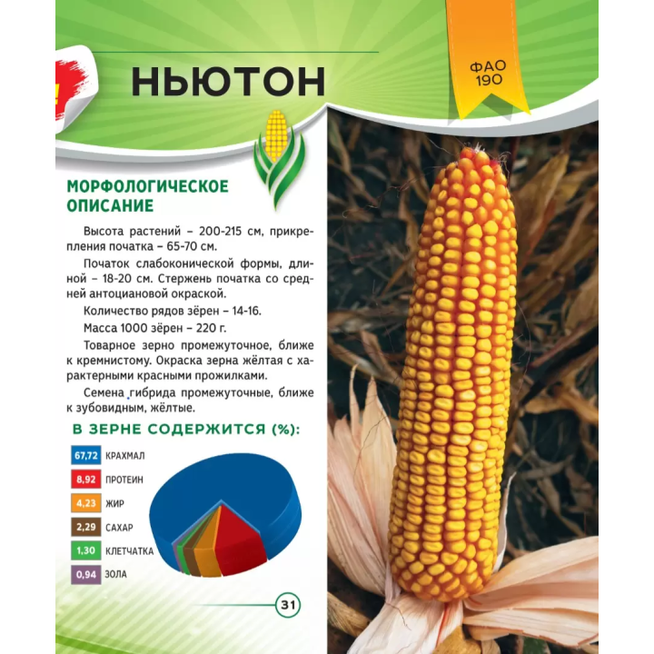 НЬЮТОН
