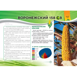 ВОРОНЕЖСКИЙ 158 СВ