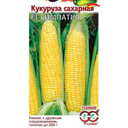 КАЗАЧКА М