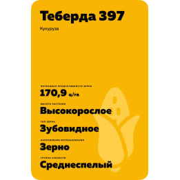 ДД 207