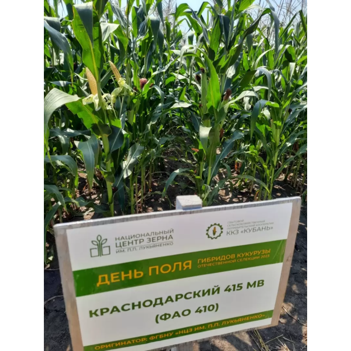 КРАСНОДАРСКИЙ 410 МВ
