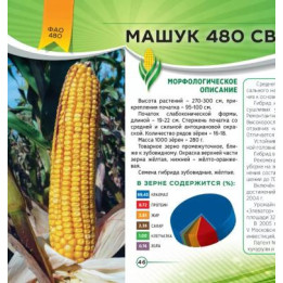 МАШУК 480 СВ