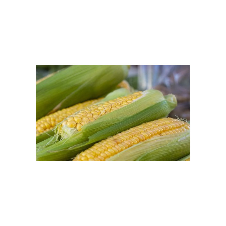 РПК 7346 А