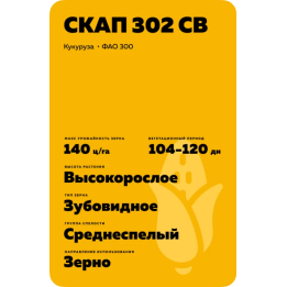 ЧАПАЕВЕЦ СВ