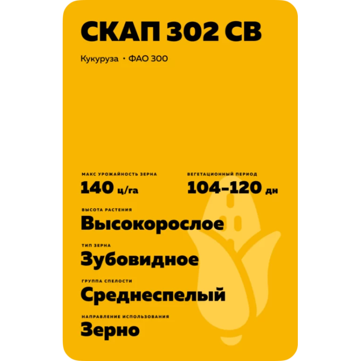 ЧАПАЕВЕЦ СВ
