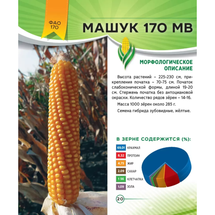 МАШУК 170 МВ