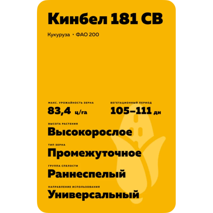 КИНБЕЛ 181 СВ