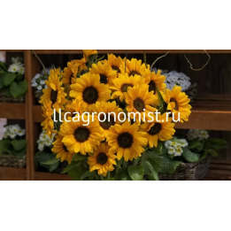 В 0072 Ф