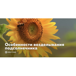 ВН 2502 В