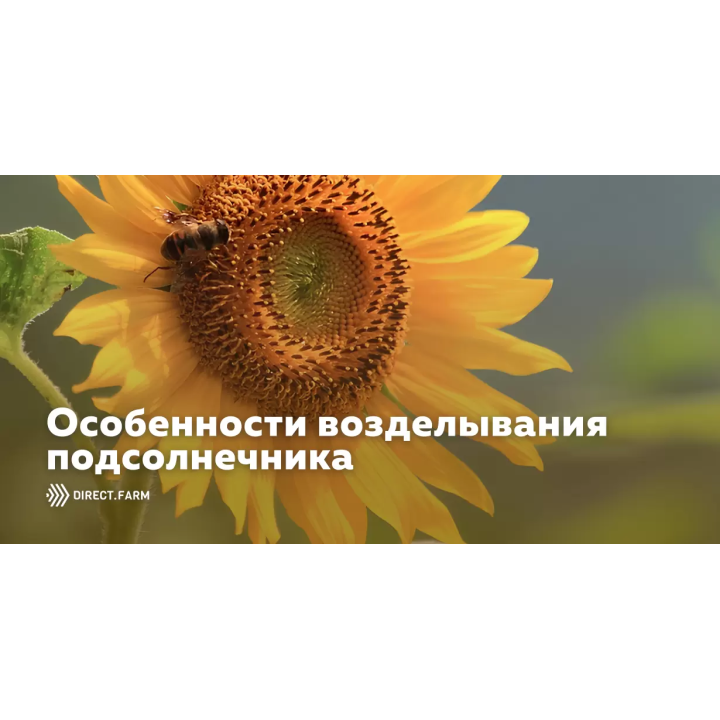 ВН 2502 В