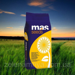 МАС 810 Б