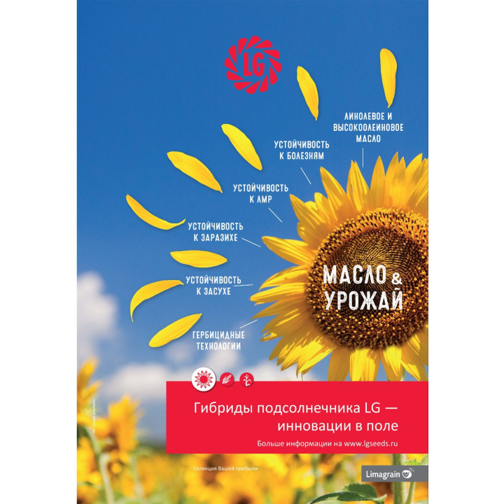 ЛГ 51234 А