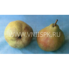 Левен
