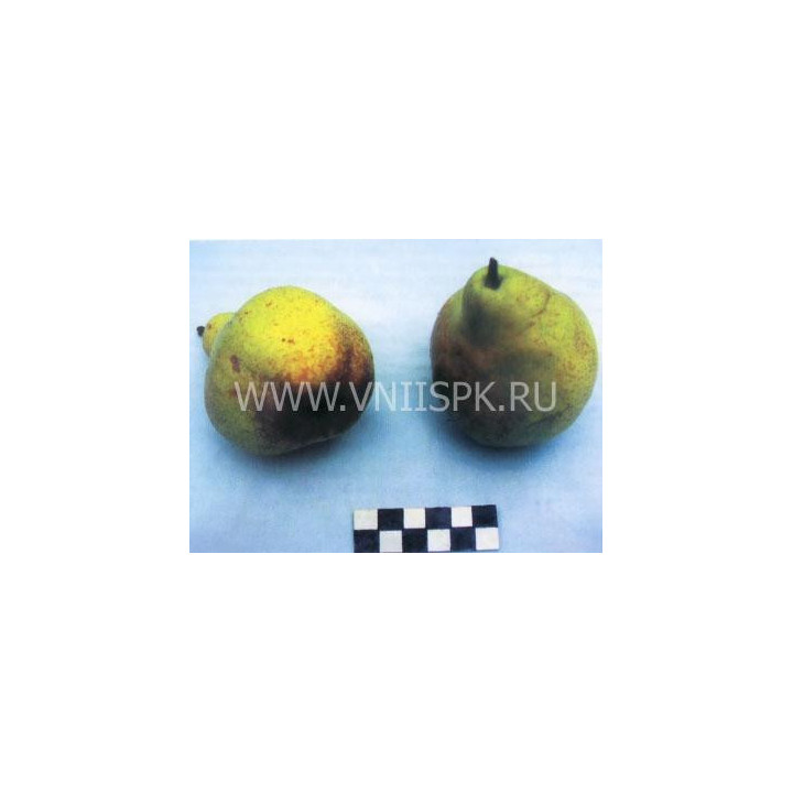 Нектарная