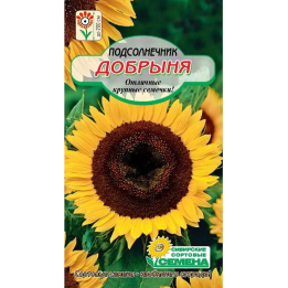 ДОБРЫНЯ
