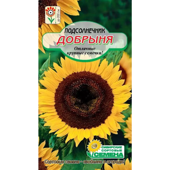 ДОБРЫНЯ