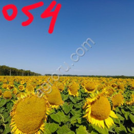 325 ДМР НС
