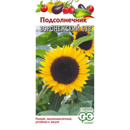 ВОРОНЕЖСКИЙ 638