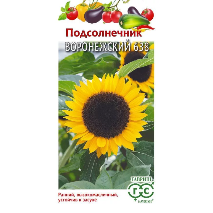 ВОРОНЕЖСКИЙ 638