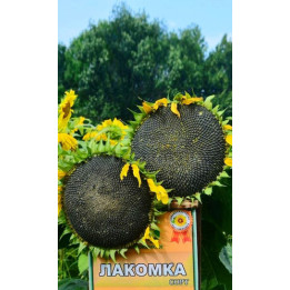 ЛАКОМКА