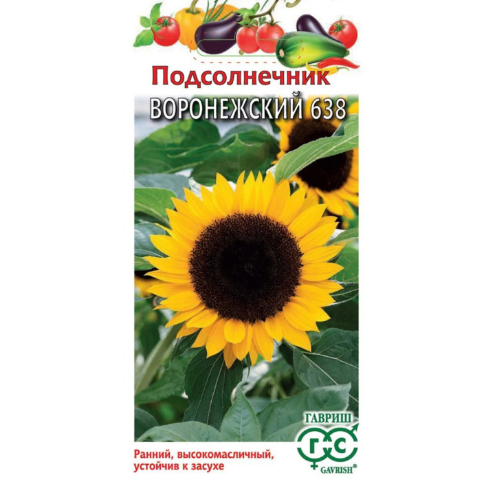 ВОРОНЕЖСКИЙ 1