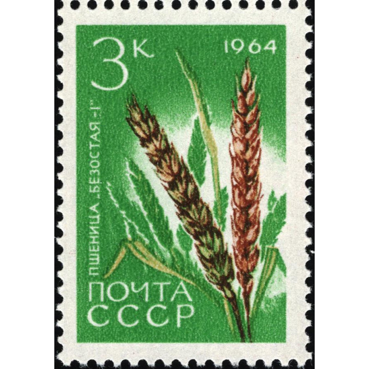 БЕЗОСТАЯ 1