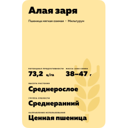 ЗАРЯ
