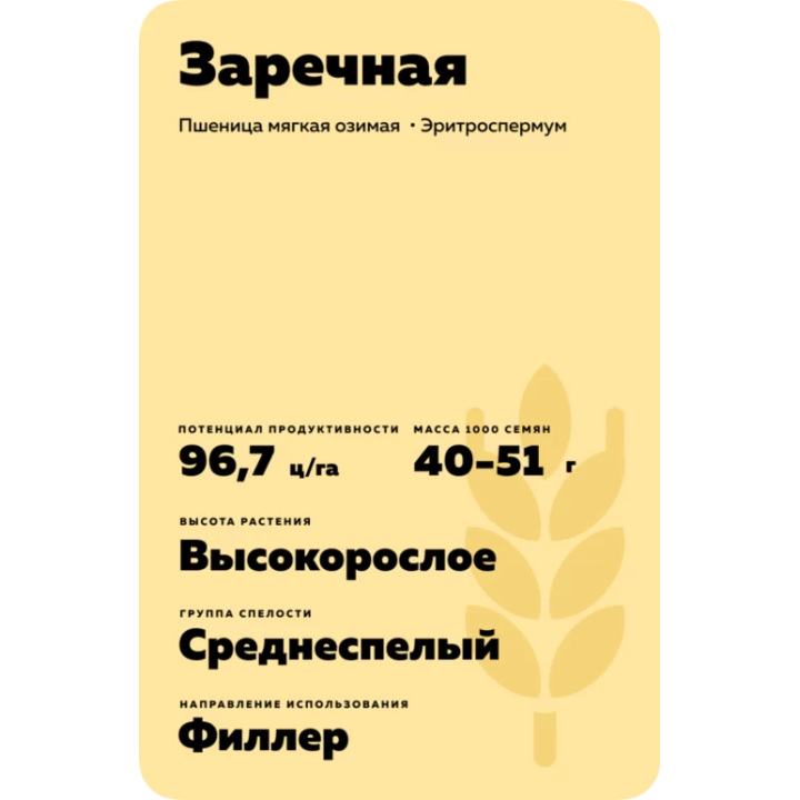 ЗАРЕЧНАЯ