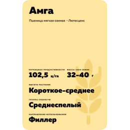 АМГА
