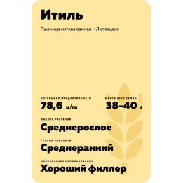 ИТИЛЬ