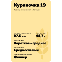 КУРЯНОЧКА 19