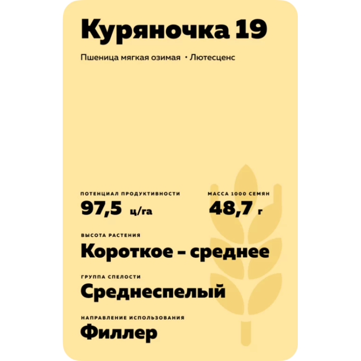 КУРЯНОЧКА 19