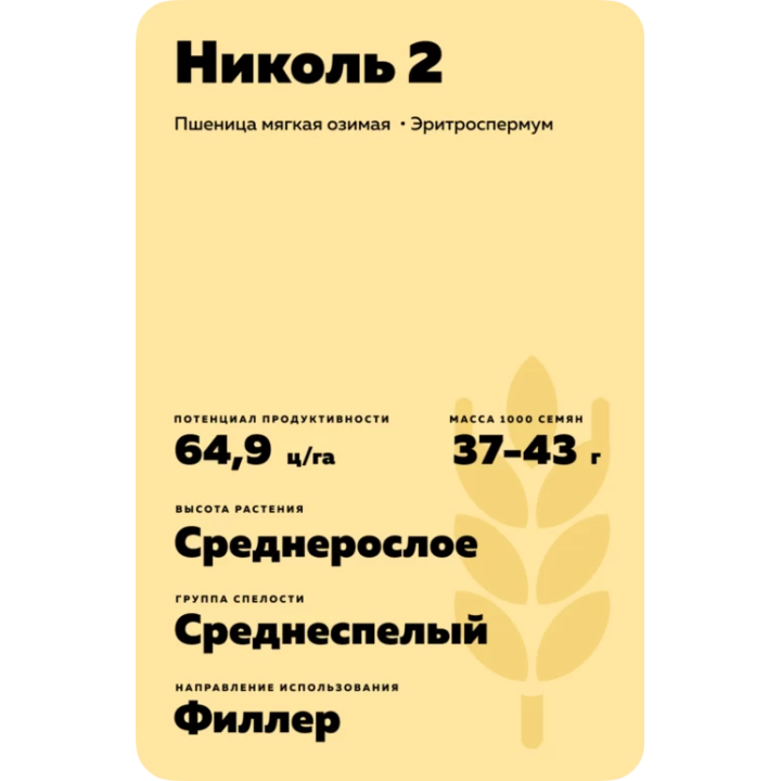 НИКОЛЬ 2
