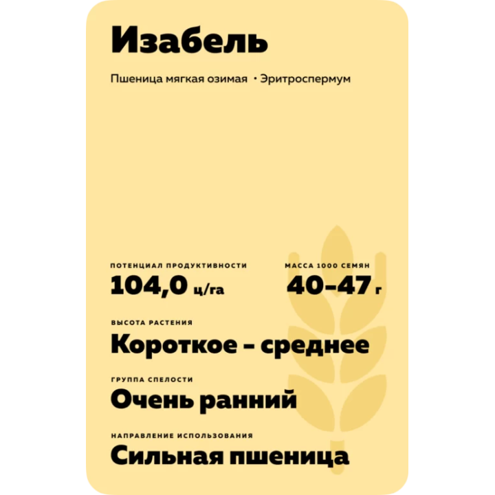 ИЗАБЕЛЬ