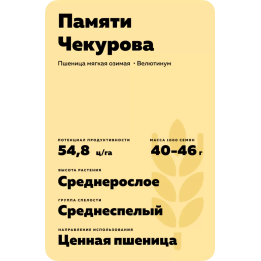 ПАМЯТИ ЧЕКУРОВА