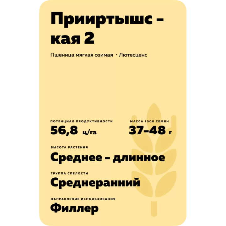 ПРИИРТЫШСКАЯ 2
