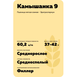 КАМЫШАНКА 9