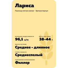 ЛАРИСА