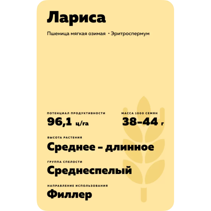 ЛАРИСА