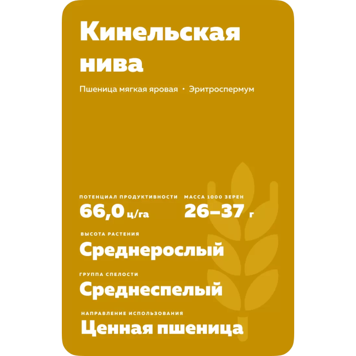 КИНЕЛЬСКАЯ 4