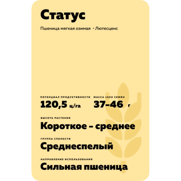 СТАТУС