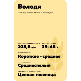 ВОЛОДЯ