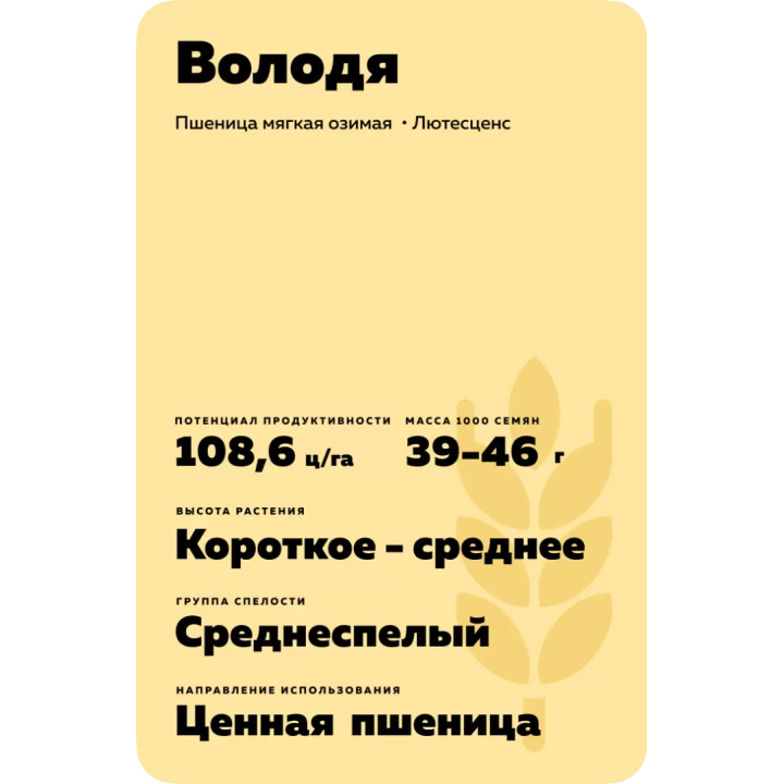 ВОЛОДЯ