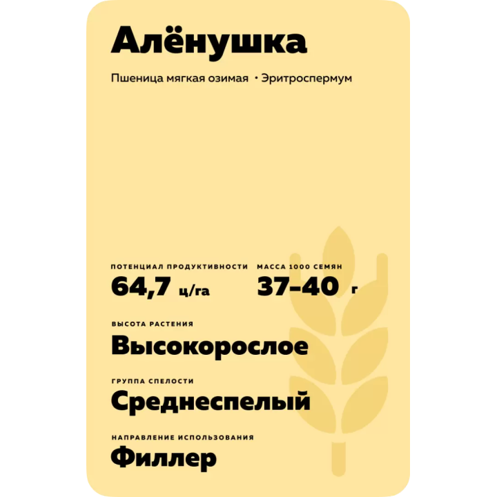 АЛЁНУШКА